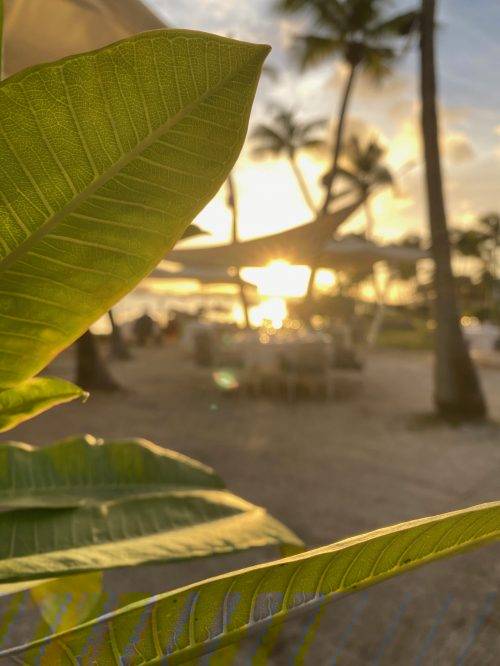 la cigale sxm sunset time table on the beach